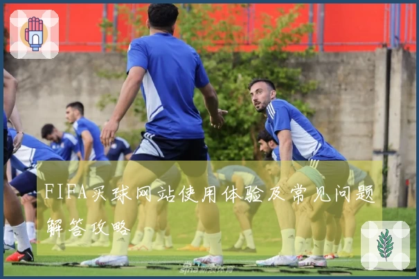 FIFA买球网站使用体验及常见问题解答攻略