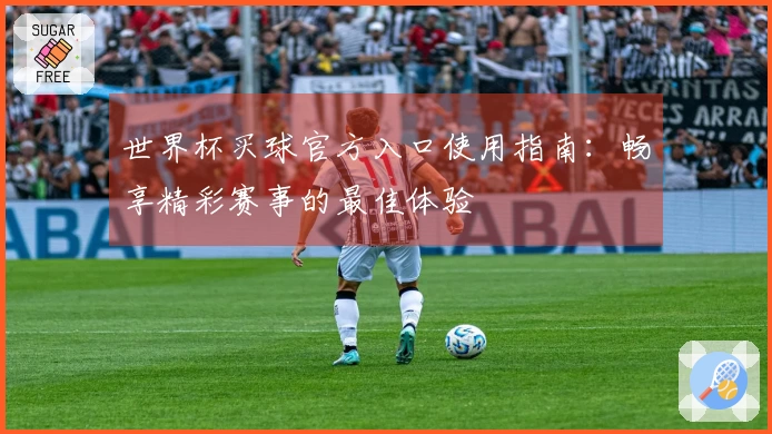 世界杯买球官方入口使用指南:畅享精彩赛事的最佳体验
