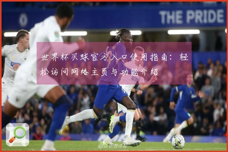 世界杯买球官方入口使用指南：轻松访问网络主页与功能介绍