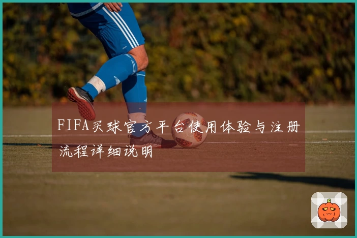 FIFA买球官方平台使用体验与注册流程详细说明