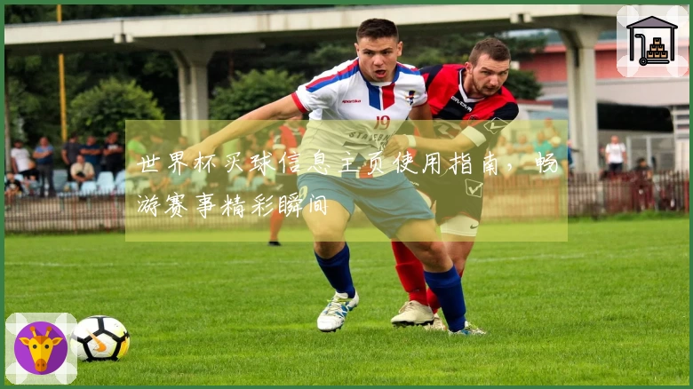 世界杯买球信息主页使用指南，畅游赛事精彩瞬间