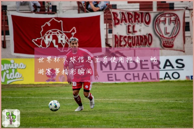 世界杯买球信息主页使用指南，畅游赛事精彩瞬间