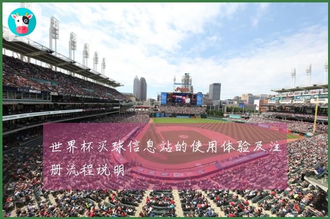 世界杯买球信息站的使用体验及注册流程说明