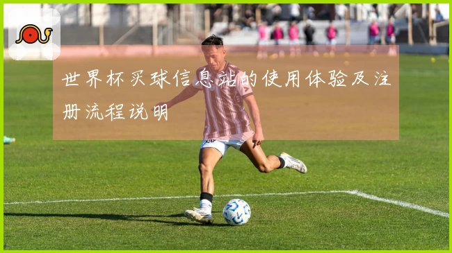 世界杯买球信息站的使用体验及注册流程说明
