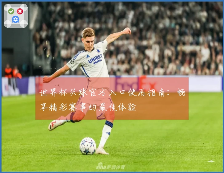 世界杯买球官方入口使用指南：畅享精彩赛事的最佳体验