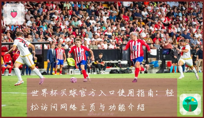 世界杯买球官方入口使用指南：轻松访问网络主页与功能介绍