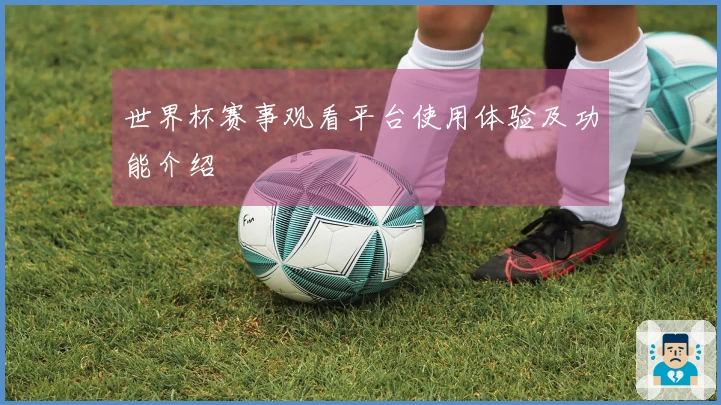 世界杯赛事观看平台使用体验及功能介绍